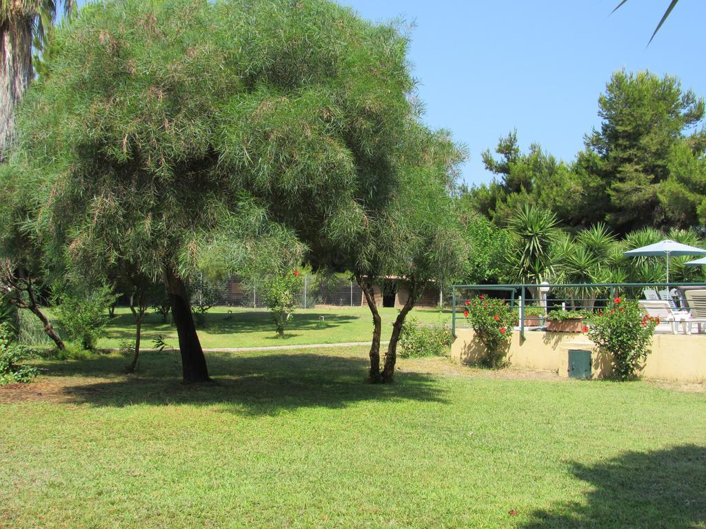 Apartments Seagull Agios Fokas  Exterior photo